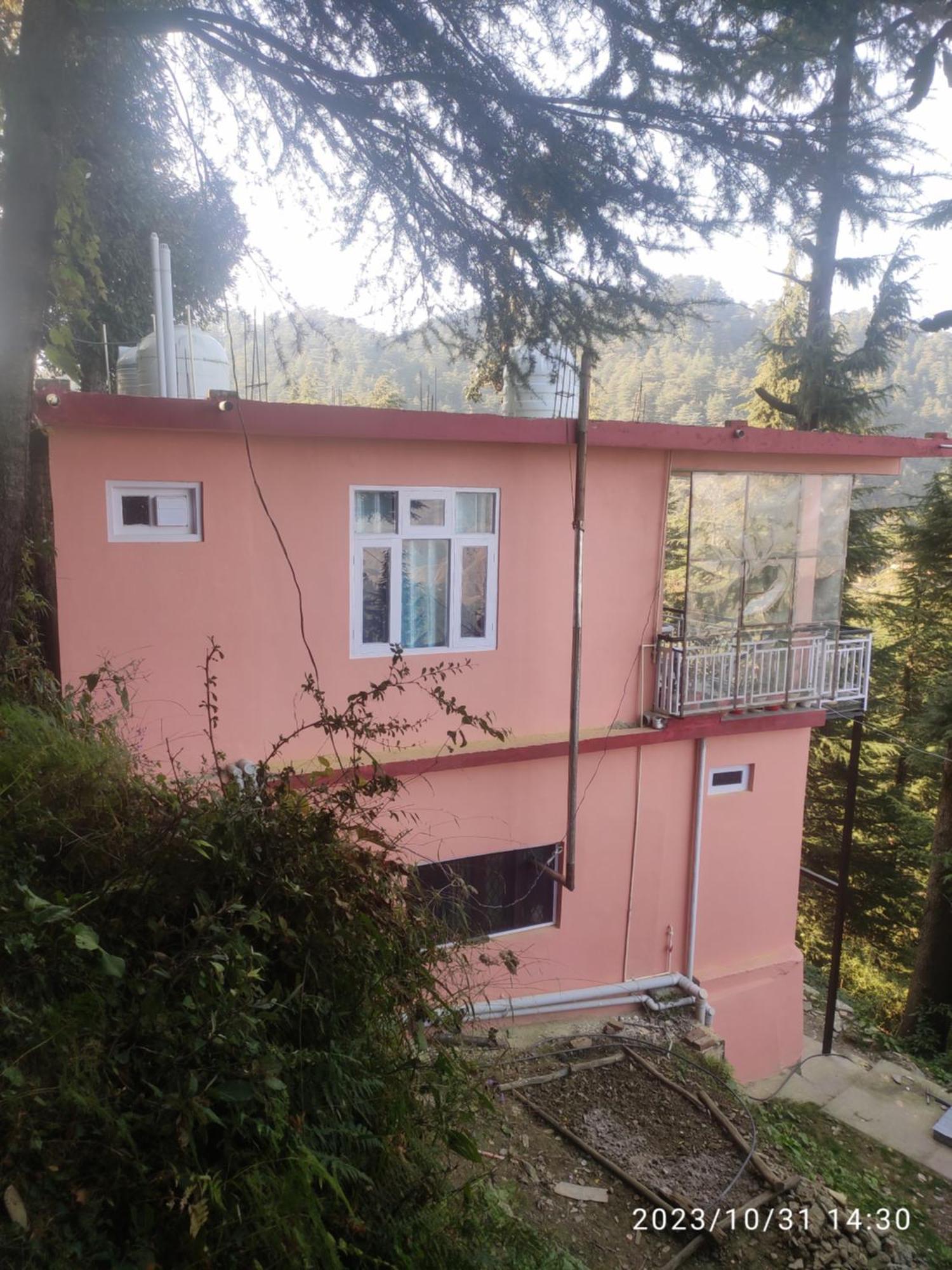 Tree Valley Homestay Chail Eksteriør billede