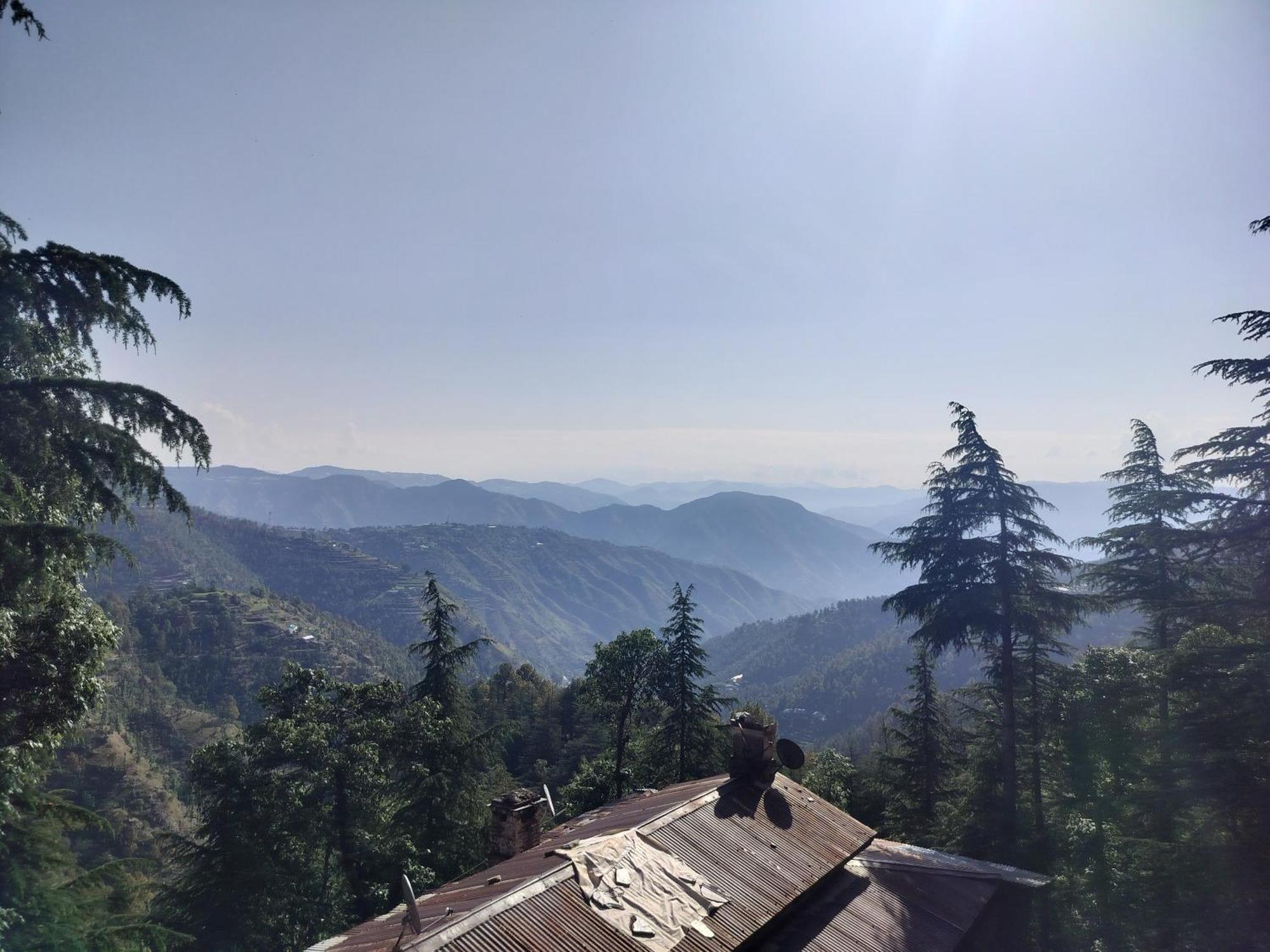 Tree Valley Homestay Chail Eksteriør billede
