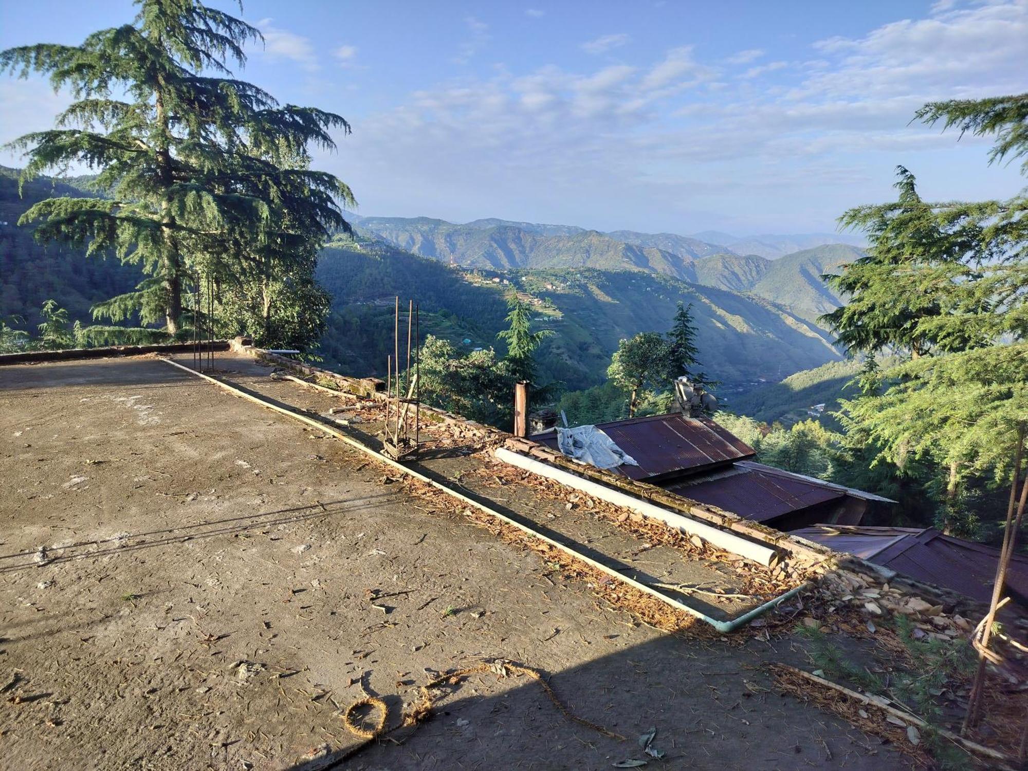 Tree Valley Homestay Chail Eksteriør billede