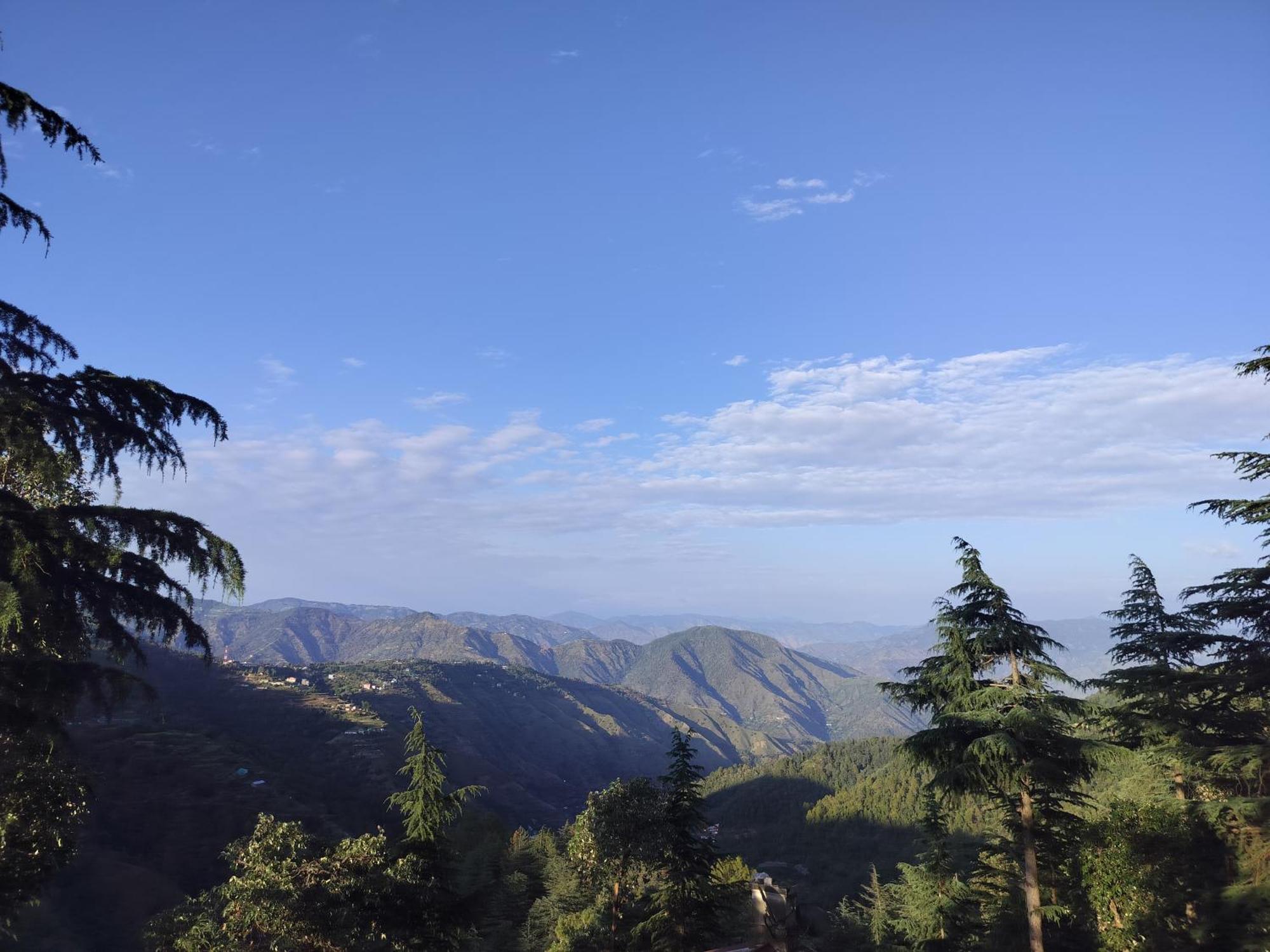 Tree Valley Homestay Chail Eksteriør billede